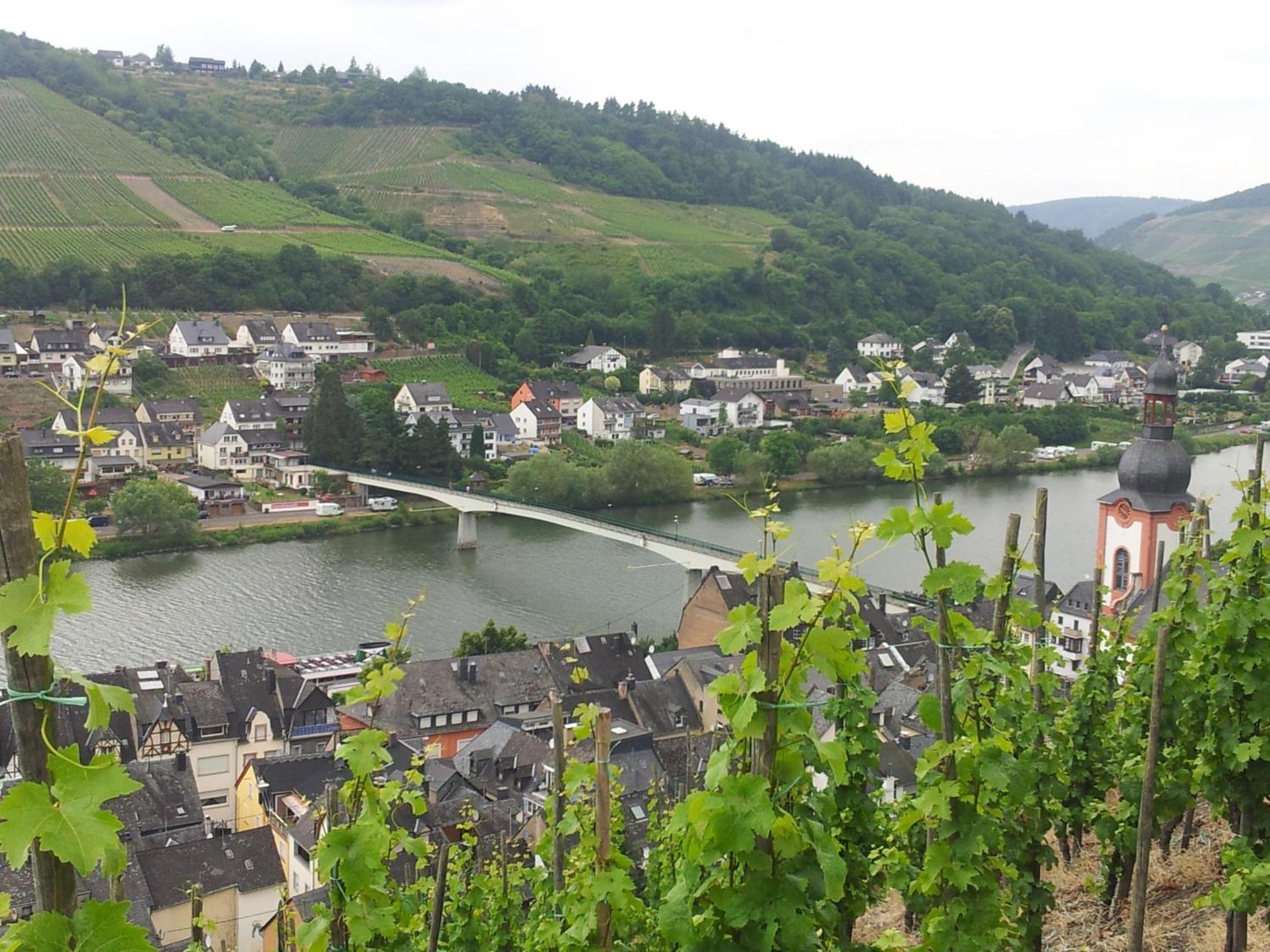 "Ferienhaus An Der Mosel" Zell Extérieur photo
